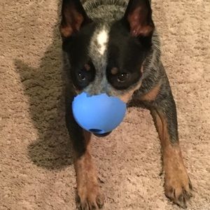 Meet your Posher, Linda